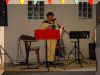 accordeoniste 