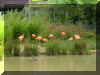 Vogelpark