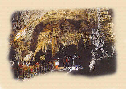 Grotten van Postojna